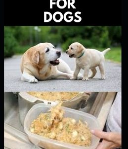 Home Cooking for Dogs: Vet-Approved Homemade Dog Food Recipes For Your Dog Healthy Living
