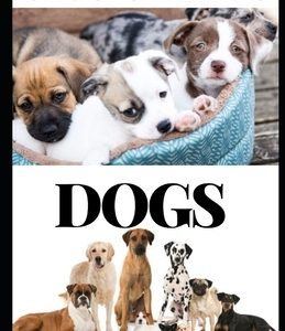 Dogs Grooming: Ultimate Guide to Dog Grooming: Skills, Techniques, and Instructions for the Home Groomer