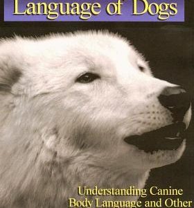 Language of Dogs: The Integrated Movement of the Dog