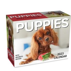 Puppies 2023 Mini Day-To-Day Calendar