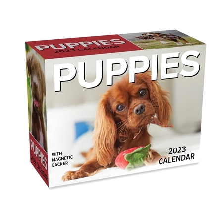 Puppies 2023 Mini Day-To-Day Calendar