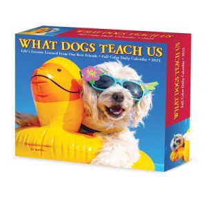 What Dogs Teach Us 2023 Box Calendar