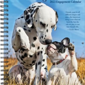 What Dogs Teach Us 2023 Engagement Calendar