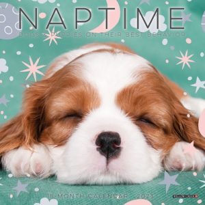 Naptime (Dogs) 2023 Mini Wall Calendar