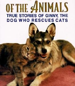 The Blessing of the Animals: True Stories of Ginny, the Dog Who Rescues Cats