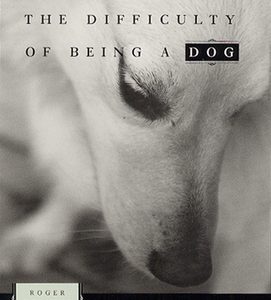 The Difficulty of Being a Dog