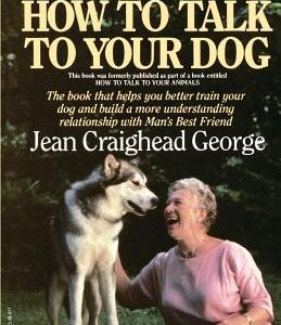 How to Talk to Your Dog