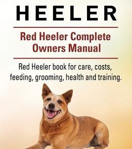 Red Heeler Dog. Red Heeler dog book for costs, care, feeding, grooming, training and health. Red Heeler dog Owners Manual.