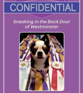 Dog Show Confidential: Sneaking in the Back Door of Westminster