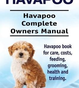 Havapoo. Havapoo Complete Owners Manual. Havapoo book for care, costs, feeding, grooming, health and training.