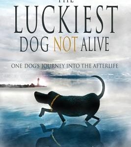 The Luckiest Dog Not Alive
