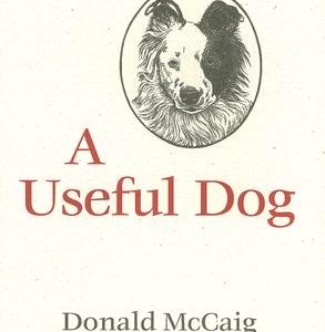 A Useful Dog