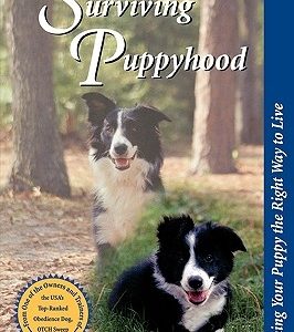 Surviving Puppyhood: Teaching Your Puppy the Right Way to Live