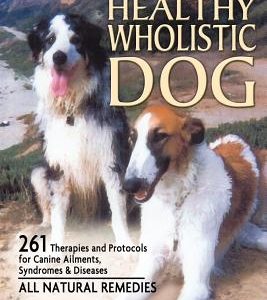 The Healthy Wholistic Dog