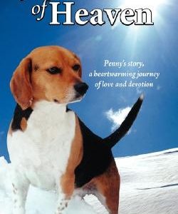 Just This Side of Heaven