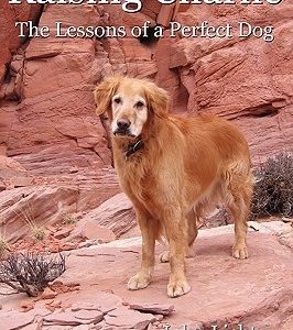 Raising Charlie: The Lessons of a Perfect Dog