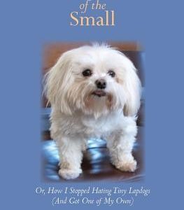 The Call of the Small: Or, How I Stopped Hating Tiny Lapdogs (And Got One of My Own)