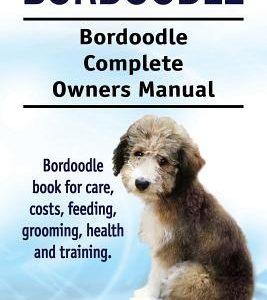 Bordoodle. Bordoodle Complete Owners Manual. Bordoodle book for care, costs, feeding, grooming, health and training.