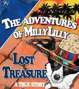Lost Treasure The Aventures of MillyLilly Book 1