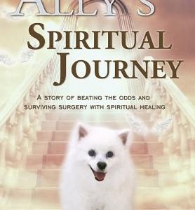 Ally's Spiritual Journey: A Story of Beating the Odds and Surviving Surgery with Spiritual Healing