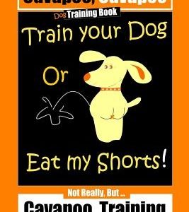 Cavapoo, Cavapoo Dog Training Book, Train Your Dog Or Eat My Shorts! Not Really But... Cavapoo Training