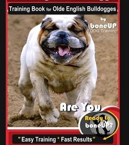 Old English Bulldogge Training Book for Olde English Bulldogges By BoneUP DOG Training: Are You Ready to Bone Up? Easy Training * Fast Results Old Eng