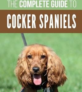 The Complete Guide to Cocker Spaniels: Locating, Selecting, Feeding, Grooming, and Loving your new Cocker Spaniel Puppy
