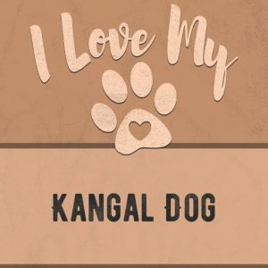 I Love My Kangal Dog: For the Pet You Love, Track Vet, Health, Medical, Vaccinations and More in this Book
