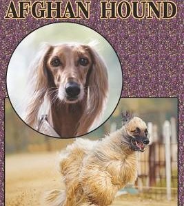 The Afghan Hound: A Complete and Comprehensive Beginners Guide To: Buying, Owning, Health, Grooming, Training, Obedience, Understanding