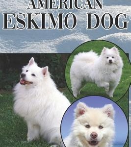 The American Eskimo Dog: A Complete and Comprehensive Beginners Guide To: Buying, Owning, Health, Grooming, Training, Obedience, Understanding