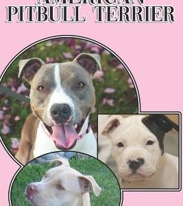 The American Pitbull Terrier: A Complete and Comprehensive Beginners Guide To: Buying, Owning, Health, Grooming, Training, Obedience, Understanding