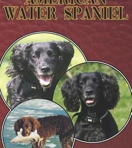 The American Water Spaniel: A Complete and Comprehensive Beginners Guide To: Buying, Owning, Health, Grooming, Training, Obedience, Understanding