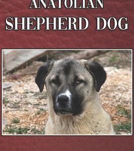 The Anatolian Shepherd Dog: A Complete and Comprehensive Beginners Guide To: Buying, Owning, Health, Grooming, Training, Obedience, Understanding
