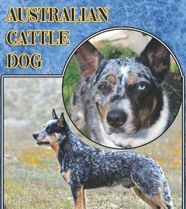 The Australian Cattle Dog: A Complete and Comprehensive Beginners Guide To: Buying, Owning, Health, Grooming, Training, Obedience, Understanding