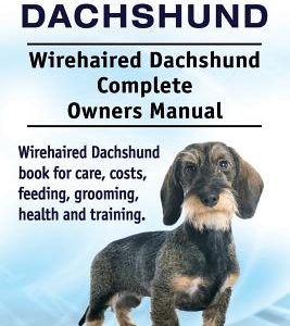 Wirehaired Dachshund. Wirehaired Dachshund Complete Owners Manual. Wirehaired Dachshund book for care, costs, feeding, grooming, health and training.