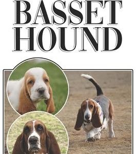 The Basset Hound: A Complete and Comprehensive Beginners Guide To: Buying, Owning, Health, Grooming, Training, Obedience, Understanding