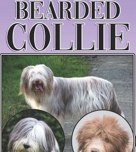 The Bearded Collie: A Complete and Comprehensive Beginners Guide To: Buying, Owning, Health, Grooming, Training, Obedience, Understanding