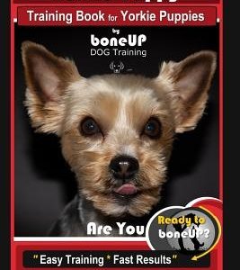 Yorkie Puppy Training Book for Yorkie Puppies by Boneup Dog Training: Are You Ready to Bone Up? Easy Training * Fast Results Yorkie Puppy Training