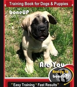 Mastiff Training Book for Dogs & Puppies by Boneup Dog Training: Are You Ready to Bone Up? Easy Training * Fast Results Mastiff Training Book