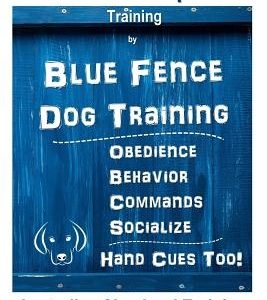 Australian Shepherd Training by Blue Fence Dog Training Obedience - Commands Behavior - Socialize Hand Cues Too! Australian Shepherd Training