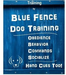 Border Collie Training by Blue Fence Dog Training Obedience - Commands Behavior - Socialize Hand Cues Too! Border Collie Training