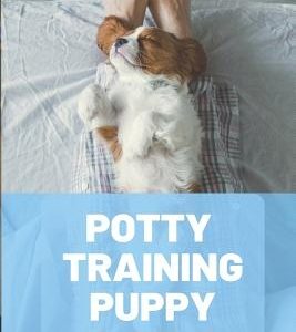 Potty Training Puppy: A Comprehensive Guide to Help You Navigate the Crappy Job of House Training Your Puppy