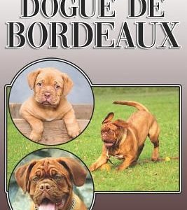 The Dogue de Bordeaux: A Complete and Comprehensive Owners Guide To: Buying, Owning, Health, Grooming, Training, Obedience, Understanding and