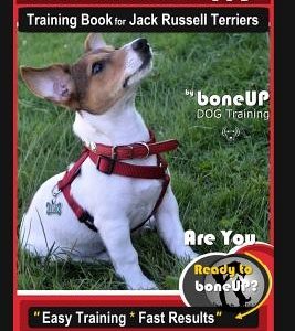 Jack Russell Puppy Training Book for Jack Russell Terriers by Boneup Dog Training: Are You Ready to Bone Up? Easy Training * Fast Results Jack Russell