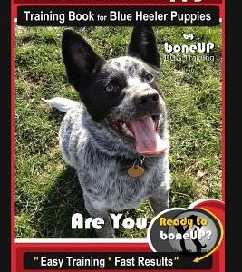 Blue Heeler Puppy Training Book for Blue Heeler Puppies by Boneup Dog Training: Are You Ready to Bone Up? Easy Steps * Fast Results Blue Heeler Puppy