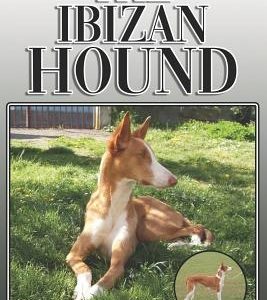 The Ibizan Hound: A Complete and Comprehensive Owners Guide To: Buying, Owning, Health, Grooming, Training, Obedience, Understanding and