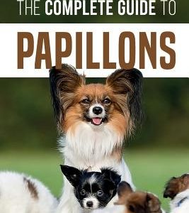 The Complete Guide to Papillons: Choosing, Feeding, Training, Exercising, and Loving your new Papillon Dog