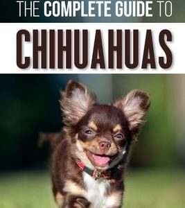 The Complete Guide to Chihuahuas: Finding, Raising, Training, Protecting, and Loving your new Chihuahua Puppy
