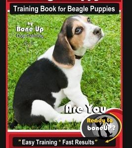 Beagle Puppy Training Book for Beagle Puppies By BoneUP DOG Training: Are You Ready to Bone up? Easy Training * Fast Results Beagle Puppy Training