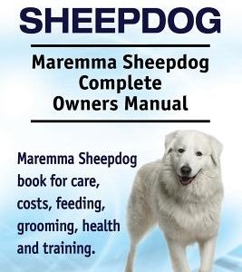 Maremma Sheepdog. Maremma Sheepdog Complete Owners Manual. Maremma Sheepdog book for care, costs, feeding, grooming, health and training.